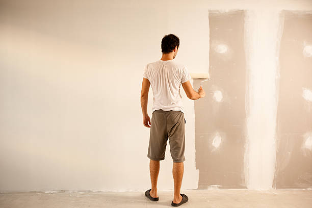 Best Drywall Removal and Disposal  in Rock Valley, IA